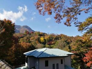a house with a roof in the middle of a forest at 箱根宿燕帰 in Hakone