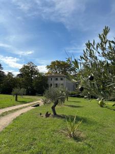 an apple tree in the grass in front of a house at Le Clos de La Chardonnière in Saulce-sur-Rhône