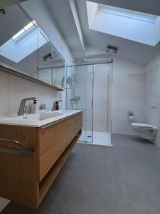 een badkamer met een wastafel en een douche bij Au 10 in St. Wolfgang