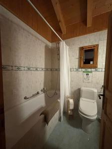 een badkamer met toilet, bad en wastafel bij Chalet Les Epilobes, Zinal in Zinal +12 foto's