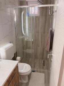 a bathroom with a shower and a toilet and a sink at Apartman Andrea in Brčko