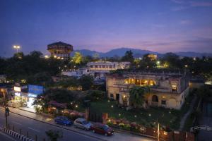 Parakh photo 5