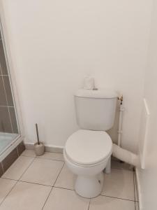 een witte badkamer met toilet en douche bij Studio centre Rouen rive gauche au pied du T4 in Le Petit-Quevilly