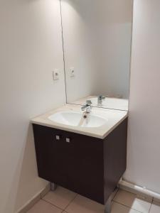 een badkamer met een wastafel en een spiegel bij Studio centre Rouen rive gauche au pied du T4 in Le Petit-Quevilly