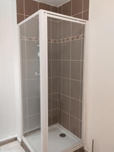 een douche met een glazen deur in een badkamer bij Studio centre Rouen rive gauche au pied du T4 in Le Petit-Quevilly