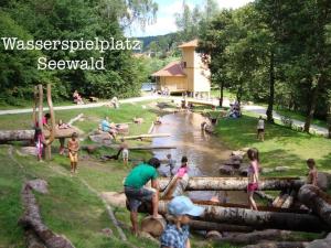 een groep mensen die in een rivier spelen bij TheWoodenStack in Waldachtal