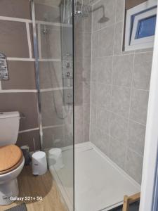 een badkamer met douche en toilet bij Chez Marilou in Arcens