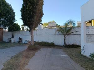 een witte muur met een boom naast een stoep bij Arevalo Mar de Ajo in Mar de Ajó