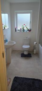 een badkamer met toilet, wastafel en raam bij SNS dreams property in Dunstable