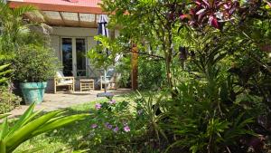 een tuin met planten en bloemen voor een huis bij Ti kaz cheu nous in Saint-Louis
