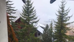 een uitzicht vanuit het raam van een huis met bomen bij Hostdomus - Betulle Apartments in Sestriere +12 foto's