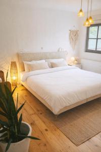 Fotografie z fotogalerie ubytování Guesthouse Dolores with Breakfast perfect for Tomorrowland Festival v destinaci Waasmunster