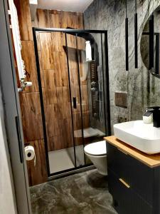 a bathroom with a shower and a toilet and a sink at APARTAMENT CHEŁMSKO - rowery gratis in Chełmsko Śląskie +10 photos