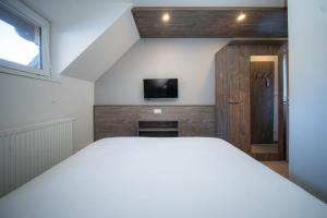 Et tv og/eller underholdning på Wellness Penzión Ski Jezersko