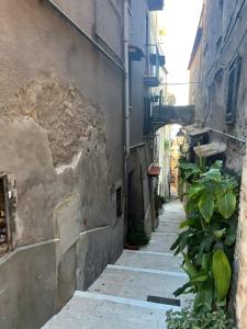 un vicolo stretto con un edificio e delle piante di La Colonnina - Minturno a Minturno