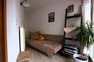 a living room with a couch and a plant at Altstadtzauber Amberg in Amberg
