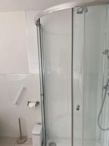 a glass shower in a bathroom with a toilet at Private modern guest house in Yetminster +10 photos