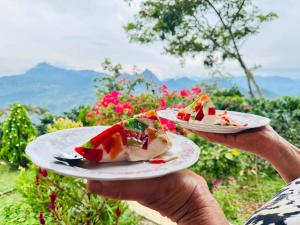 Mad på landstedet eller i nærheden + 106 billeder