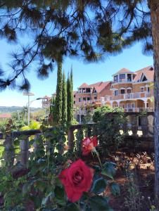 Zahrada ubytování Oceanis Park Andakana