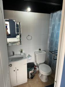 a bathroom with a toilet and a sink and a mirror at Casa piedra in Puerto Montt +6 photos