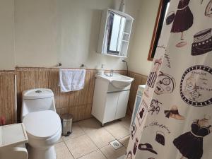 a bathroom with a toilet and a sink and a shower curtain at Family Summer House in Valparaíso +6 photos