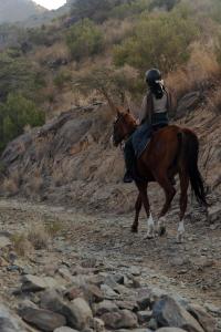 Ridning ved bed and breakfast-stedet eller i nærheden