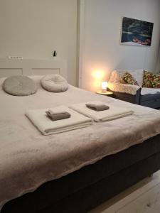 En eller flere senge i et værelse på Pärnu Pikk 24 apartment - Pärnu kesklinn - City center