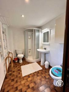 a bathroom with a toilet and a sink at Le gite fleuri in Limousis