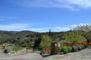 a garden with a bunch of flowers on a hill at Le gite fleuri in Limousis +19 photos