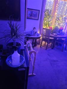 een eetkamer met tafels en stoelen en een raam met lampen bij The blue international inn in Londen