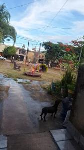 Domácí mazlíčci ubytovaní s hosty v ubytování La Lomita