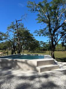 une piscine avec des marches et des arbres en arrière-plan dans l'établissement Nelblu Flamingo Suites, à Playa Flamingo