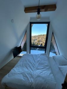 een slaapkamer met een bed en een groot raam bij Tara mountain house Kopaonik in Kopaonik