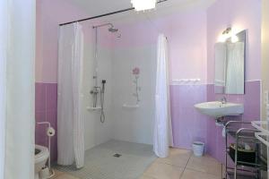 a bathroom with a shower and a toilet and a sink at Cecile in Montgaillard +15 photos