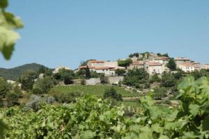 a village on top of a hill with vines at Cecile in Montgaillard