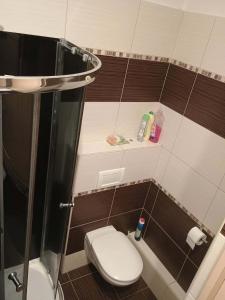 een kleine badkamer met toilet en douche bij Centrum Czeski Cieszyn in Karviná
