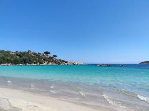 a beach with blue water and trees in the background at Bellavistaloc' in Porto-Vecchio +12 photos