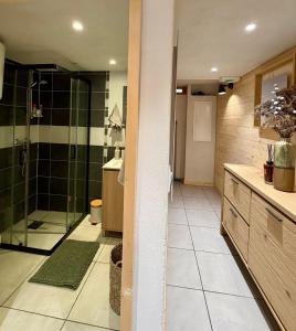 Koupelna v ubytování Appartement l'edelweiss