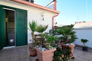 En have udenfor Il Cavalliere Bed & breakfast