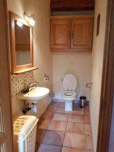 un piccolo bagno con un water e un lavandino di Bergerie de la bueges a Saint-André-de-Buèges