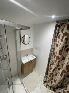 Phòng tắm tại L'appartement du centre - Hypercentre - Lavaur