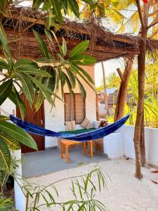 En have udenfor Karanga Bungalows
