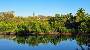Billede fra billedgalleriet på Studio du barachois à Roches-Noires i Roches Noires