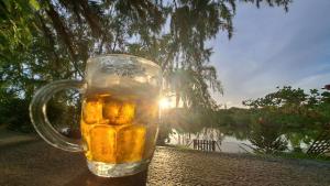 Billede fra billedgalleriet på Studio du barachois à Roches-Noires i Roches Noires