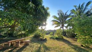 Billede fra billedgalleriet på Studio du barachois à Roches-Noires i Roches Noires + 4 billeder