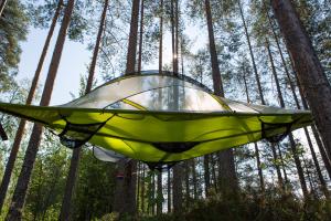 a tent in the middle of a forest at Capture Nordic Wilderness Camp - Baumzelt in Ilomantsi