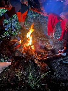 Gallery image of Srinivas Agri Tourism in Harihareshwar