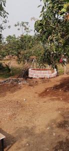 Gallery image of Srinivas Agri Tourism in Harihareshwar +7 photos