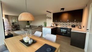 Kuchyň nebo kuchyňský kout v ubytování Apartment Suite in Os