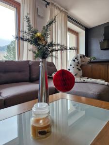 een woonkamer met een glazen salontafel met een vaas bij Apartmán Kľak in Fačkov +22 foto's